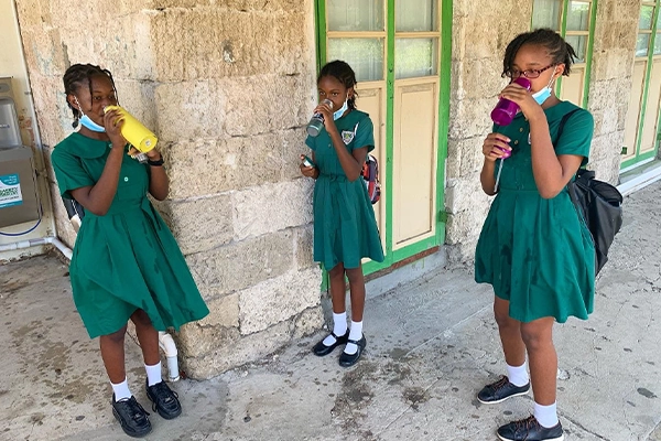 Selected Theme: Fully Branded