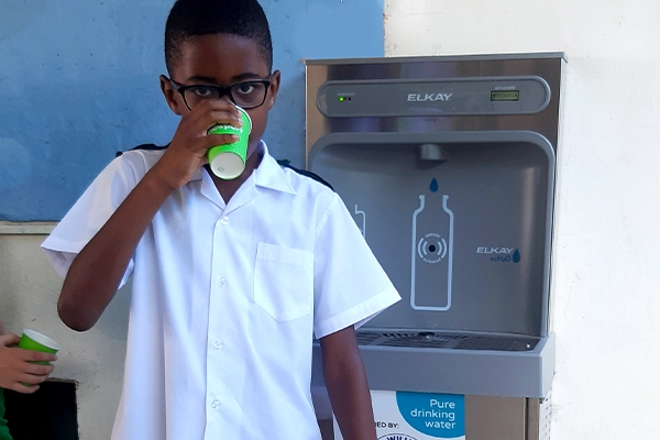 Selected Theme: Fully Branded