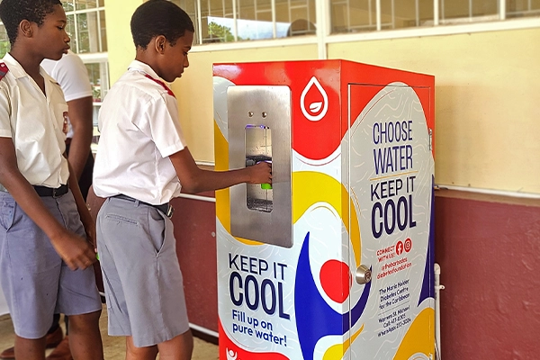 SELECTED THEME: FULLY BRANDED